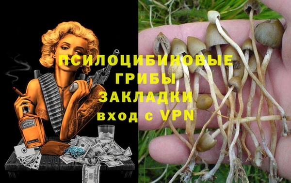стаф Балахна