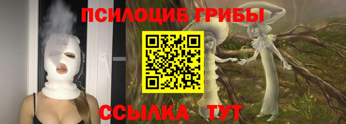 Галлюциногенные грибы MAGIC MUSHROOMS  Вход с VPN  магазин продажи наркотиков  Горячий Ключ 